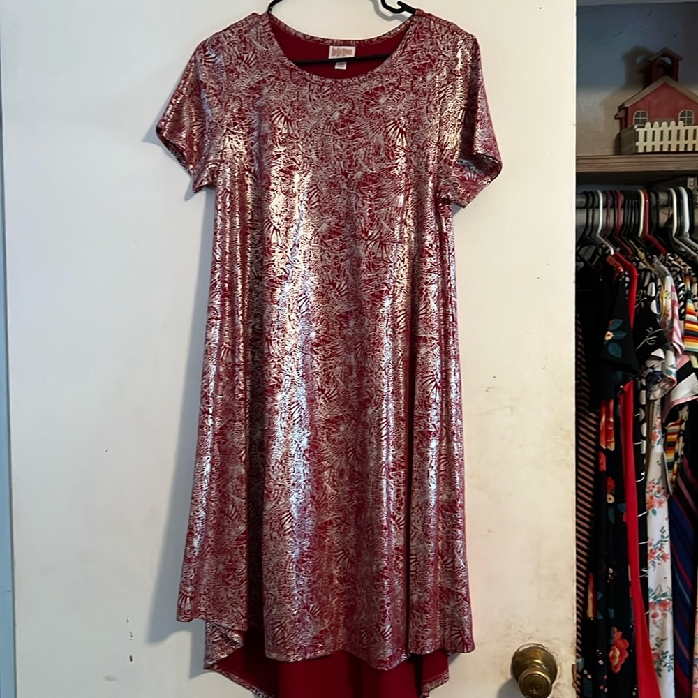 Elegant Small LulaRoe Carly